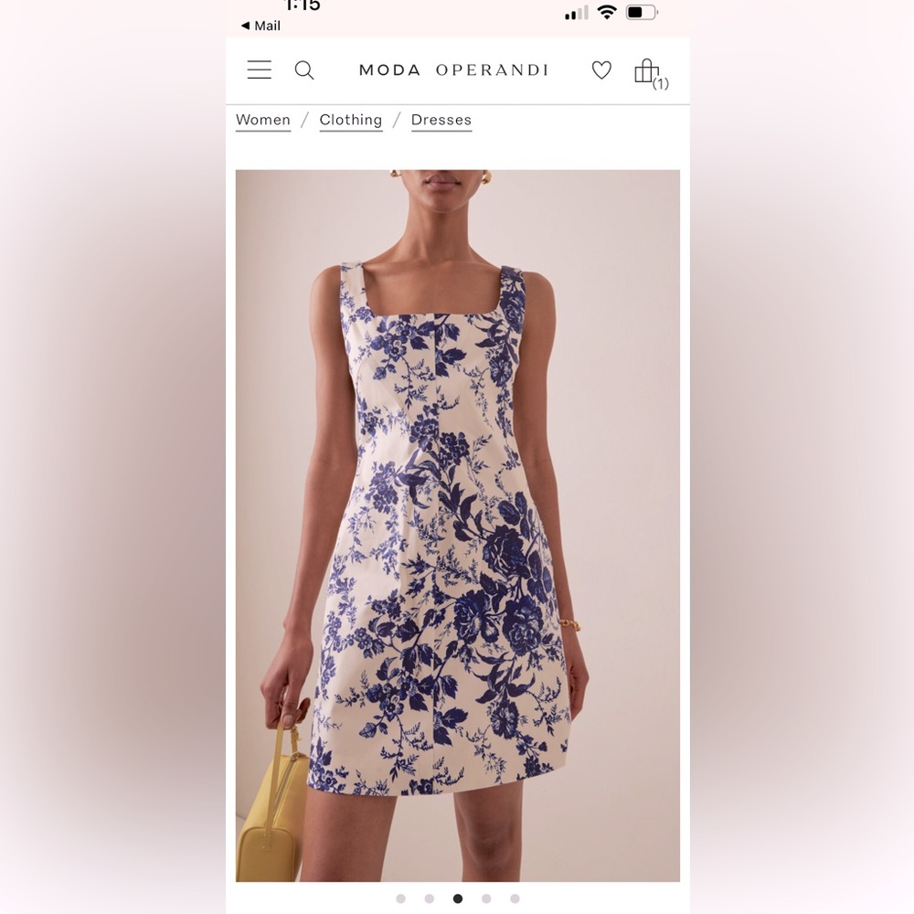 Cara cara mini dress size 6US